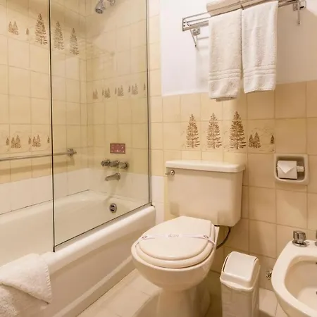 hotel saro